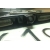 Toyota Corolla E12 (03-06) (Trinity ms-byd310)
